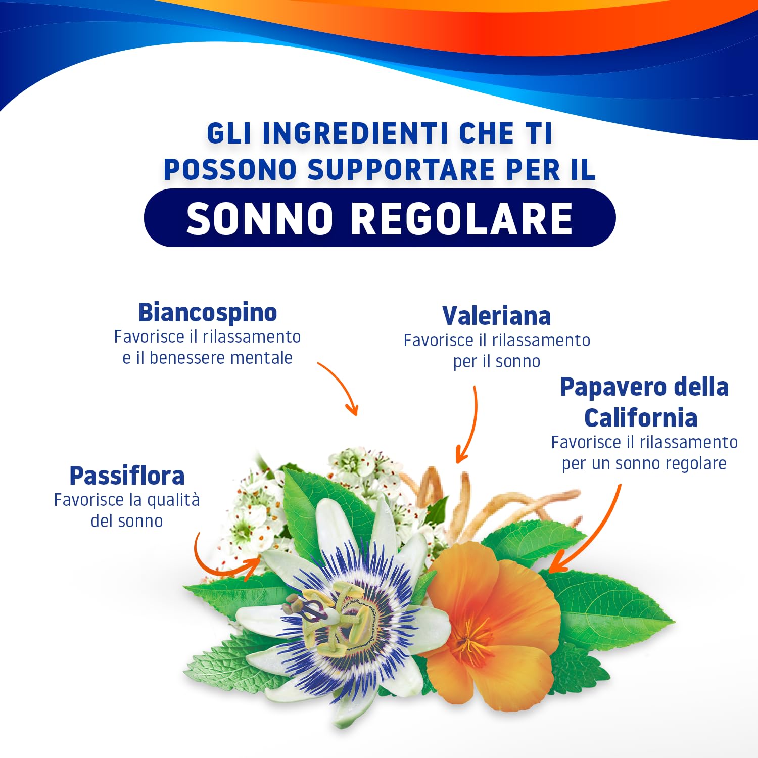 valdispert-notte-intera-con-valeriana-e-passiflora-30-compresse-rilascio-prolung image 4